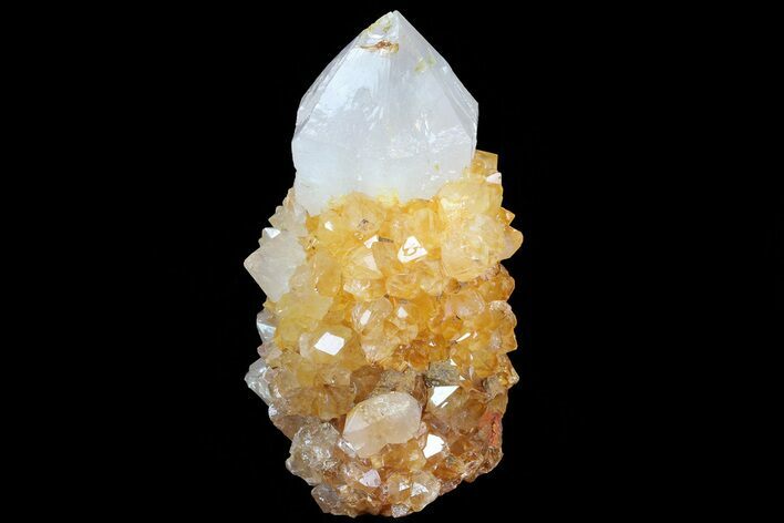 Sunshine Cactus Quartz Crystal - South Africa #80200